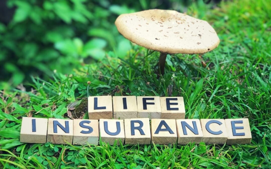 Debt Collection Insurance
